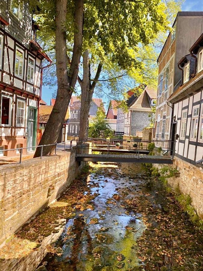 Ferienhaus Zur Abzuchtinsel Goslar Exterior foto